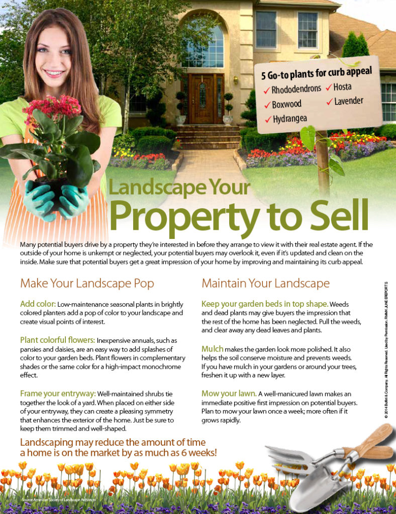 Landscape Your Property to Sell! 1