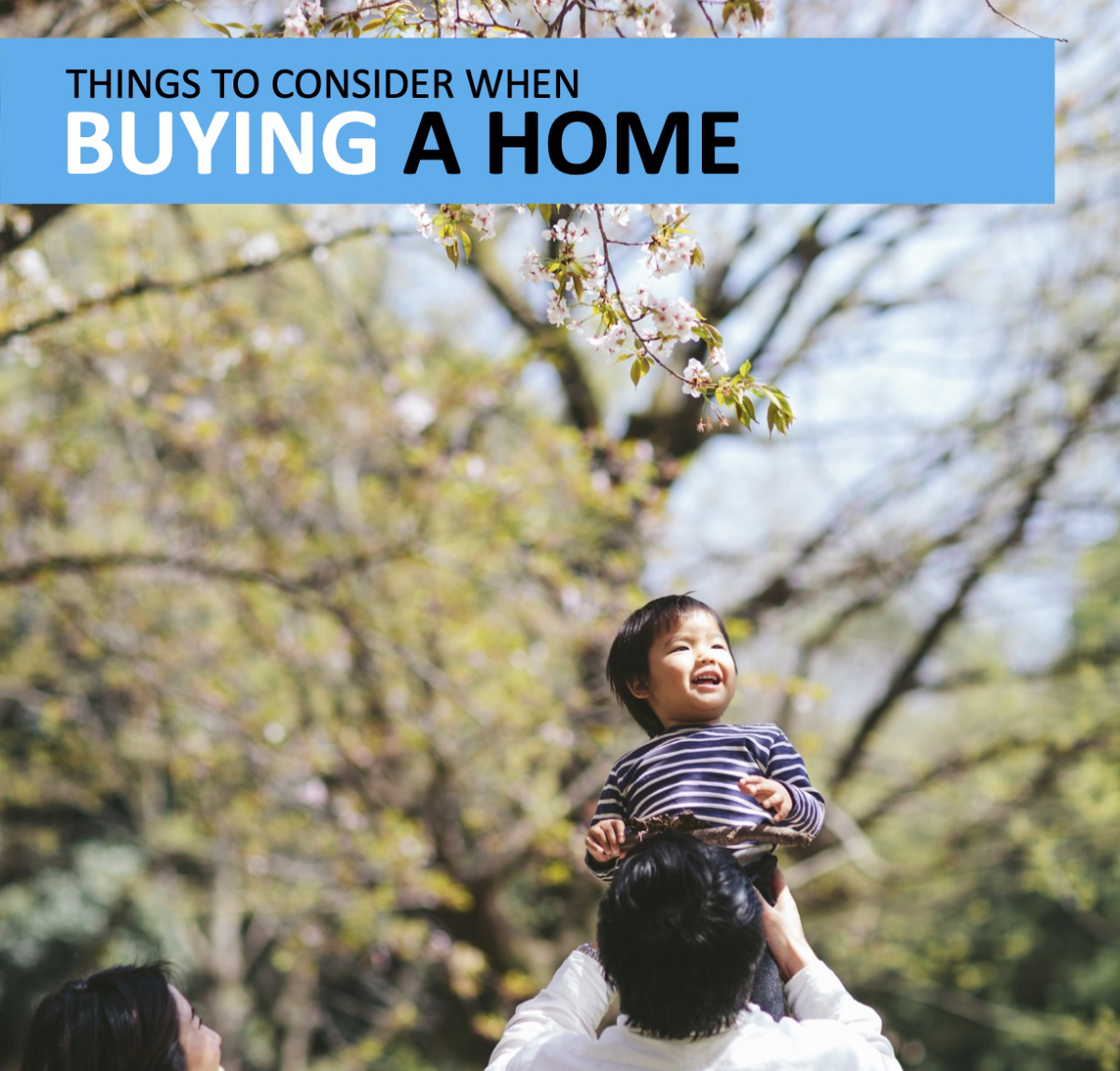 Buyer's Guide 3